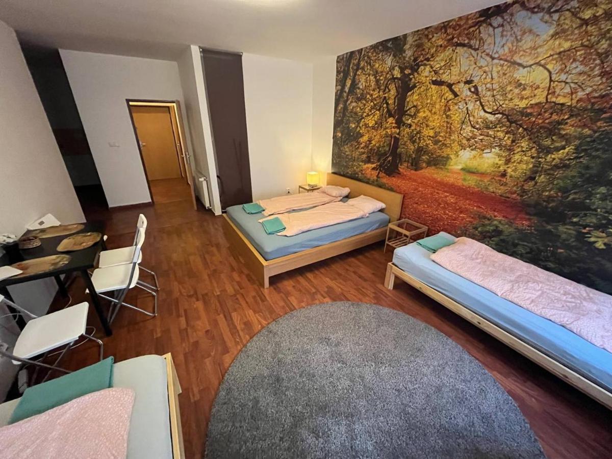 Spolkova Apartment
