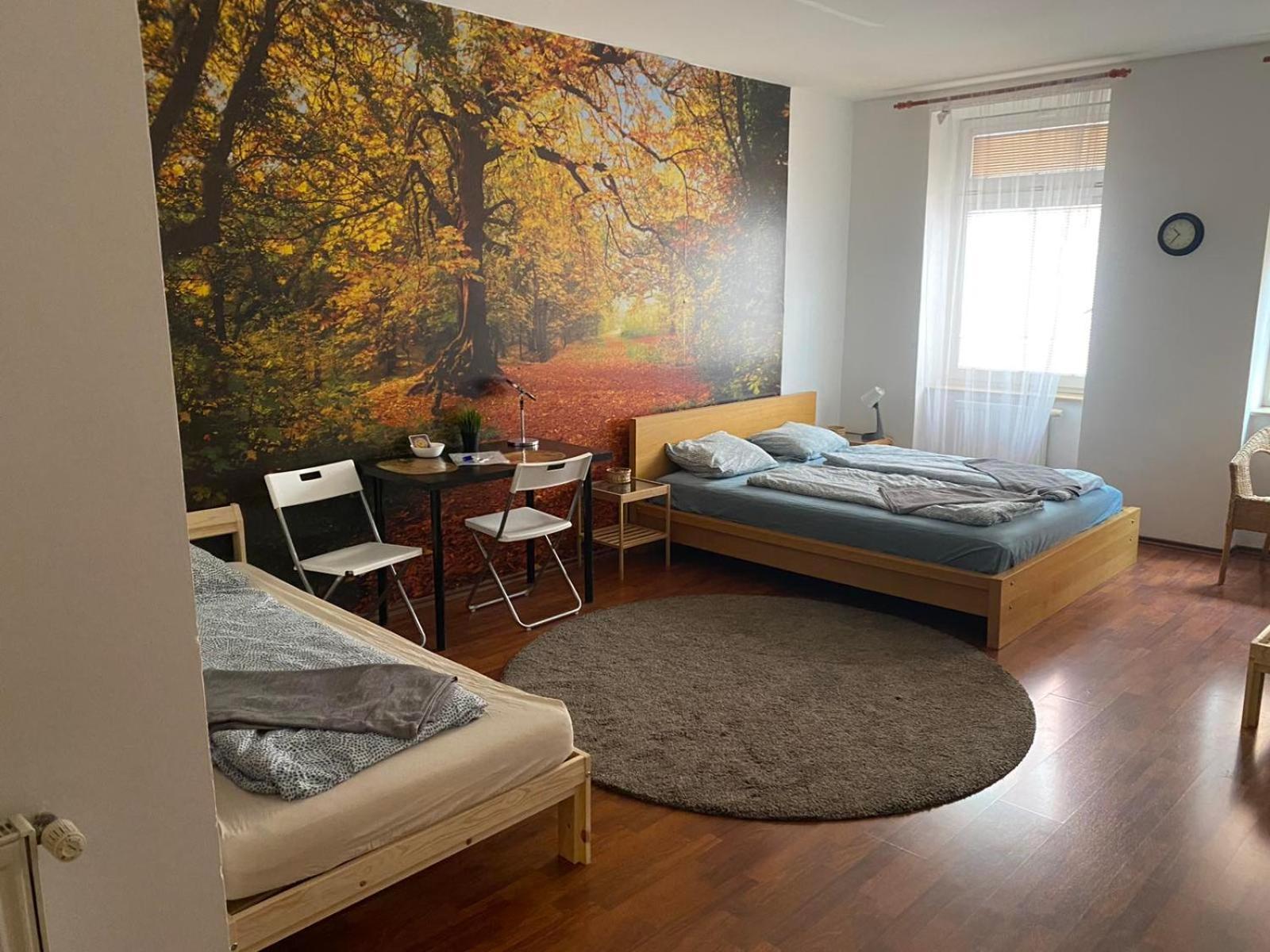Spolkova Apartment *